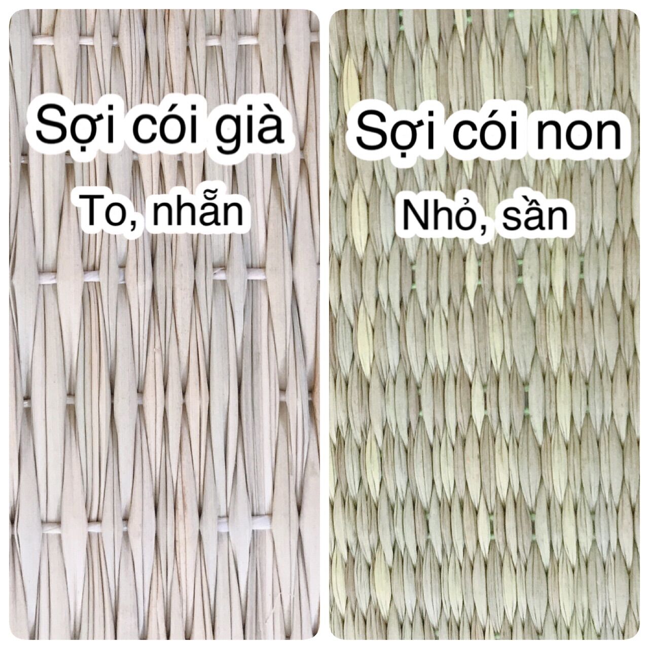 Chiếu Cói Cho Bé Cỡ Đại 65x130cm cho bé đến 6 tuổi