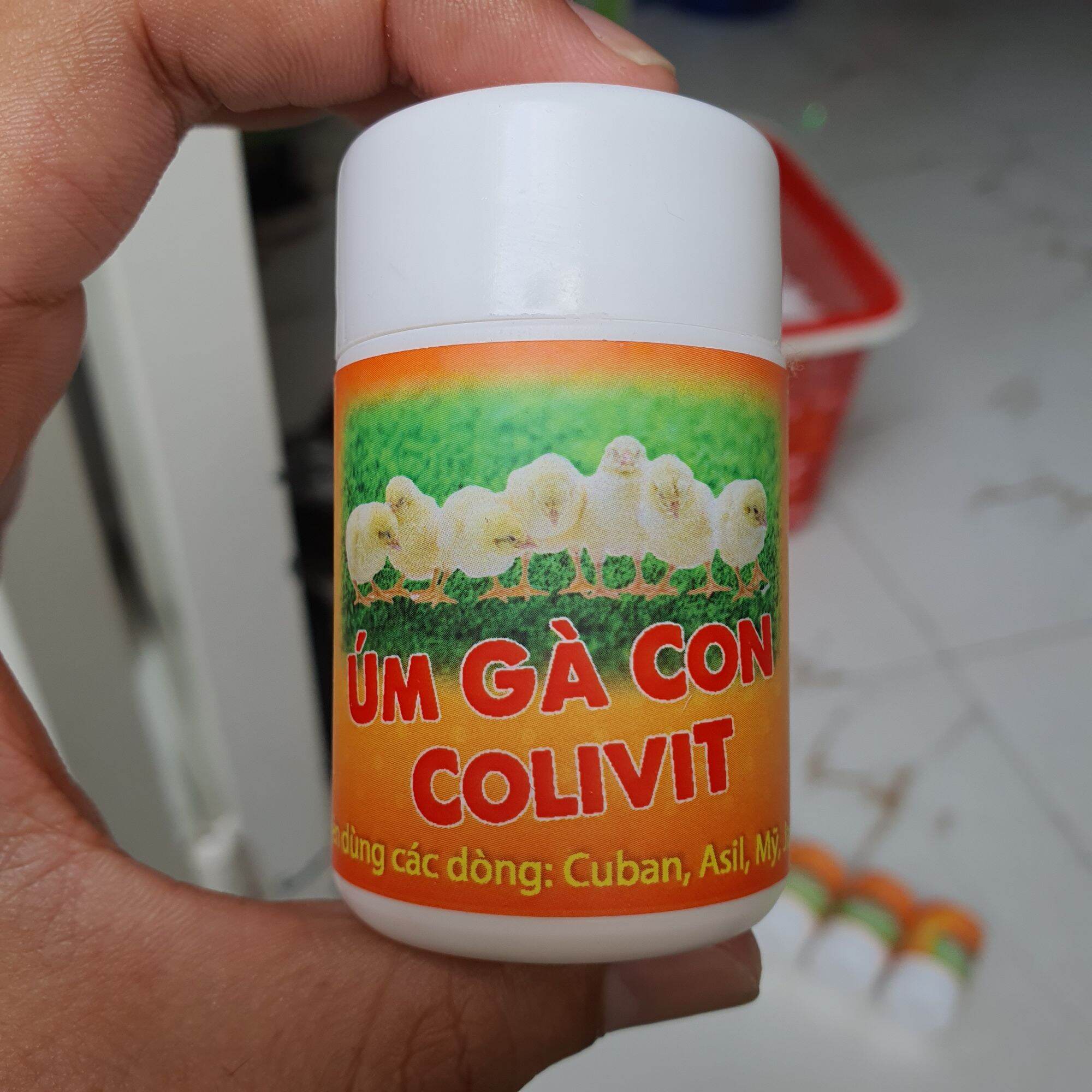 CÔNG THỨC NUÔI GÀ CON SỐNG 101%