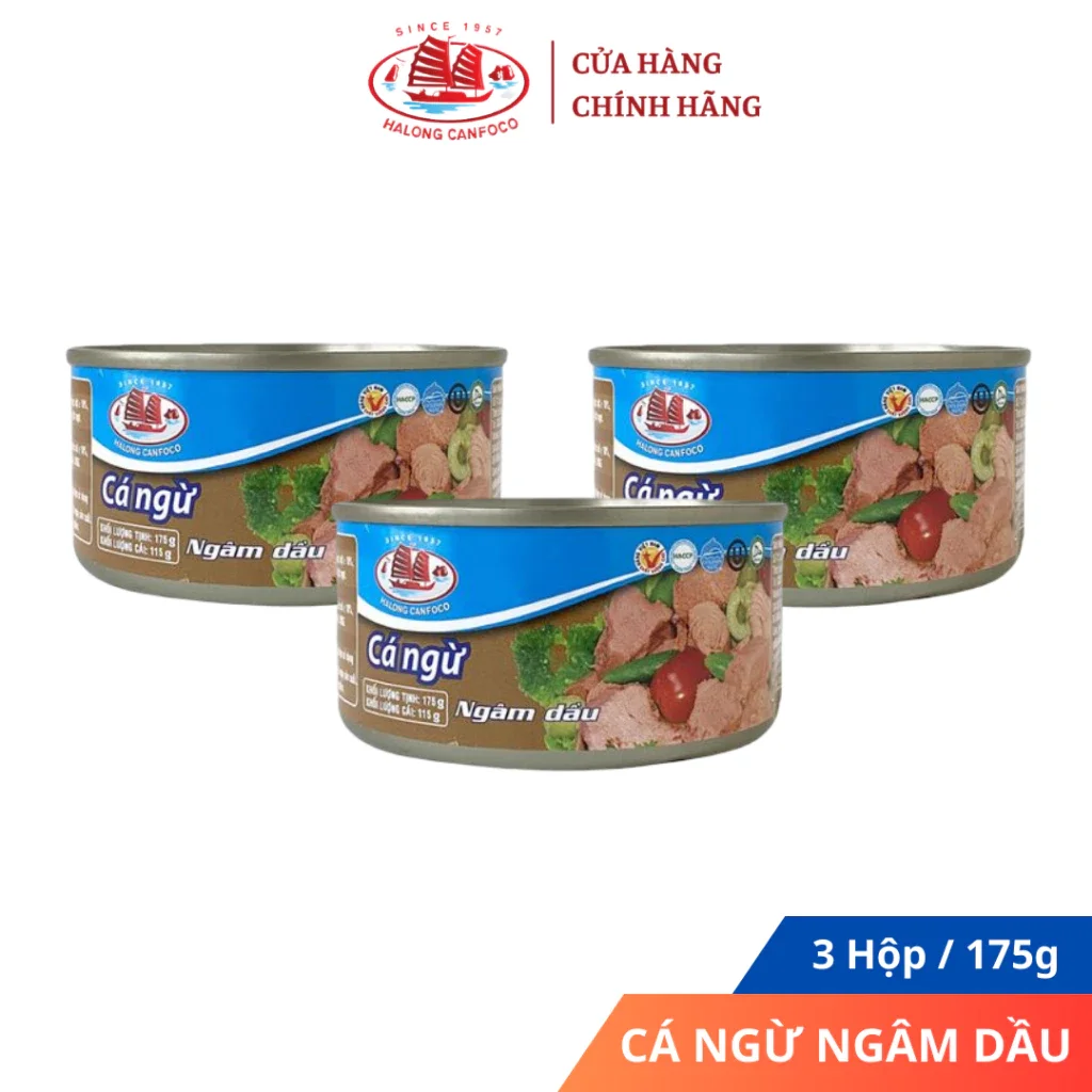 Combo 3 hộp cá ngừ cắt khúc ngâm dầu 115g/175g - Đồ Hộp Hạ Long