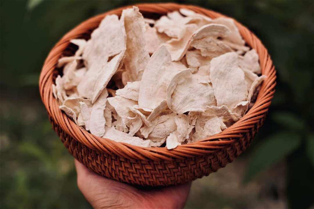 Trà sâm Tố nữ 7 gói dùng thử