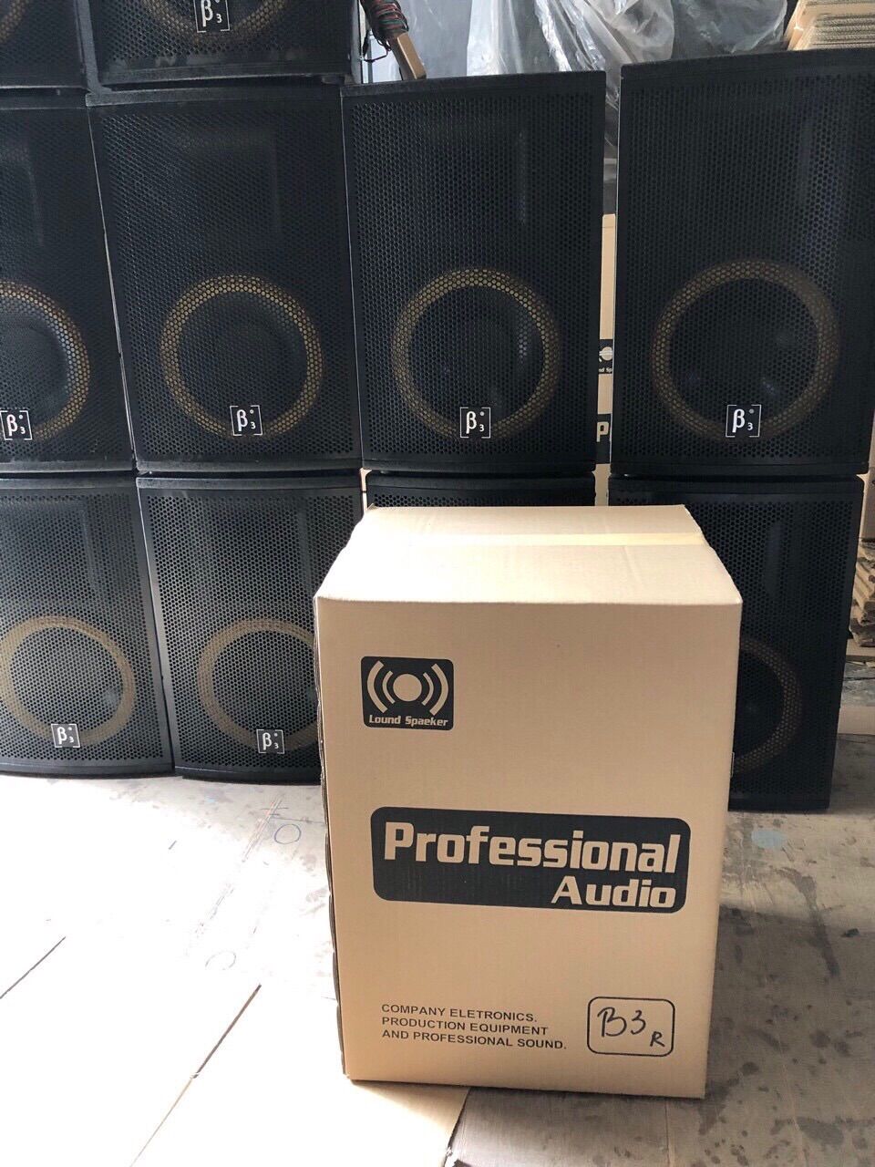 LOA B3 CHINA - GIÁ 1 CHIẾC