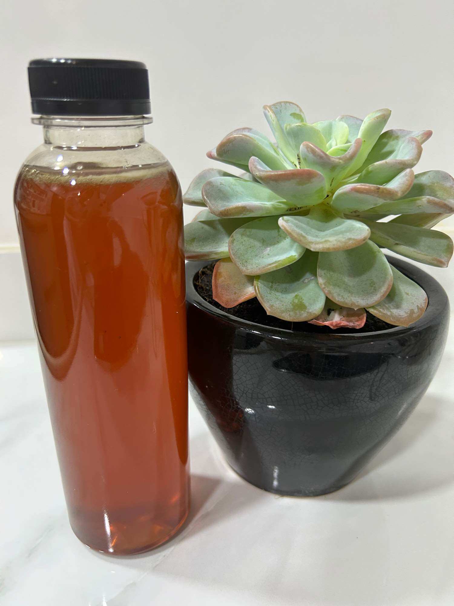 Mật Ong Hoa Cà Phê Nguyên Chất 500ML ( 0.7kg )