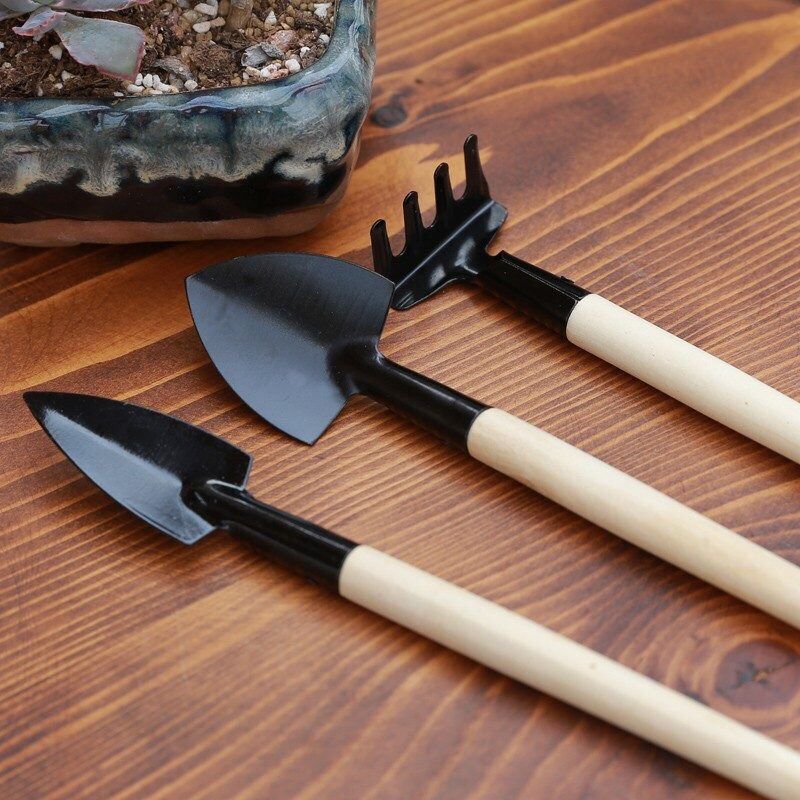 Bộ dụng cụ làm vườn set up terrarium, nhỏ xinh gồm 3 món