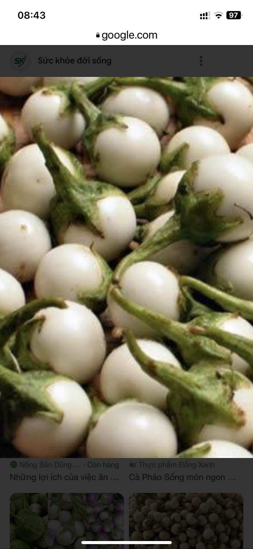 Cà pháo tươi 2kg