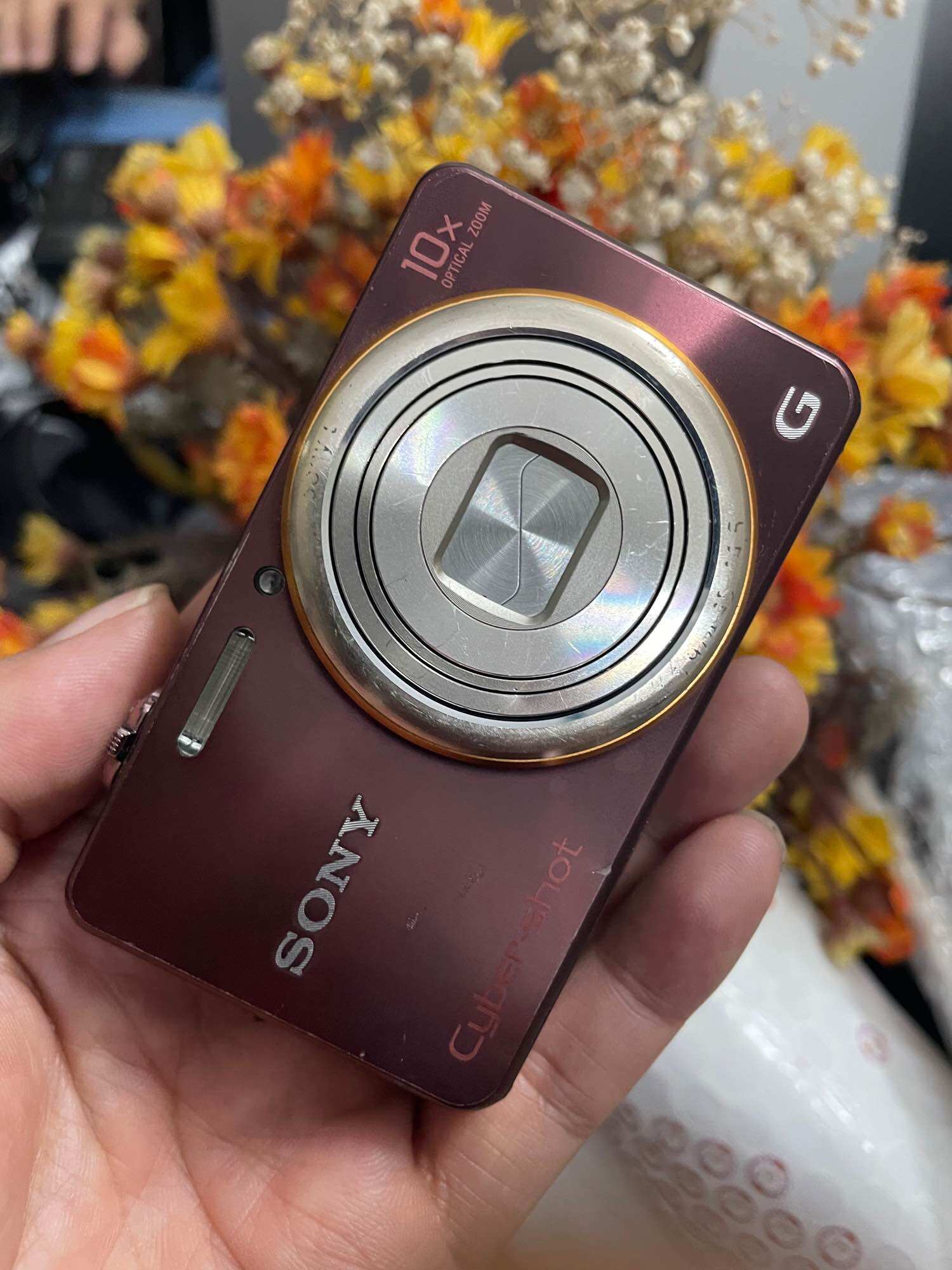 Máy ảnh Sony SyberShot WX100