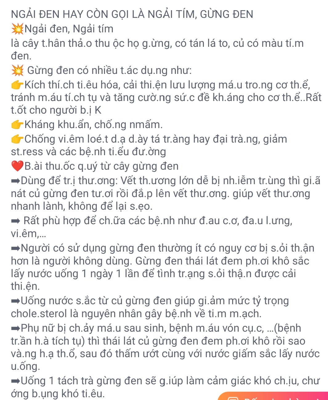 GỪNG ĐEN (NGãi đen,ngãi tím) đào Rừng củ nguyên đậm