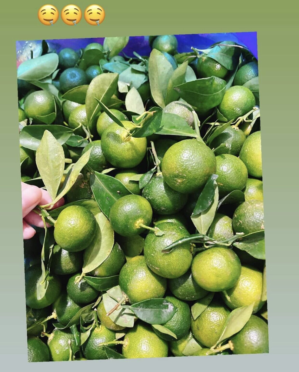 Combor bánh tròn phơi sương 1 kí