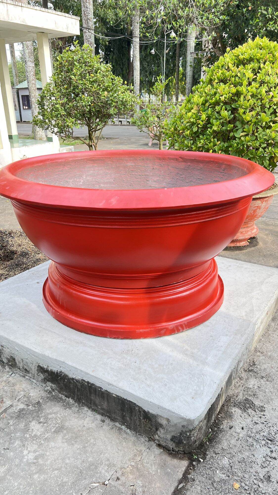 Sơn Dulphin đỏ (107)