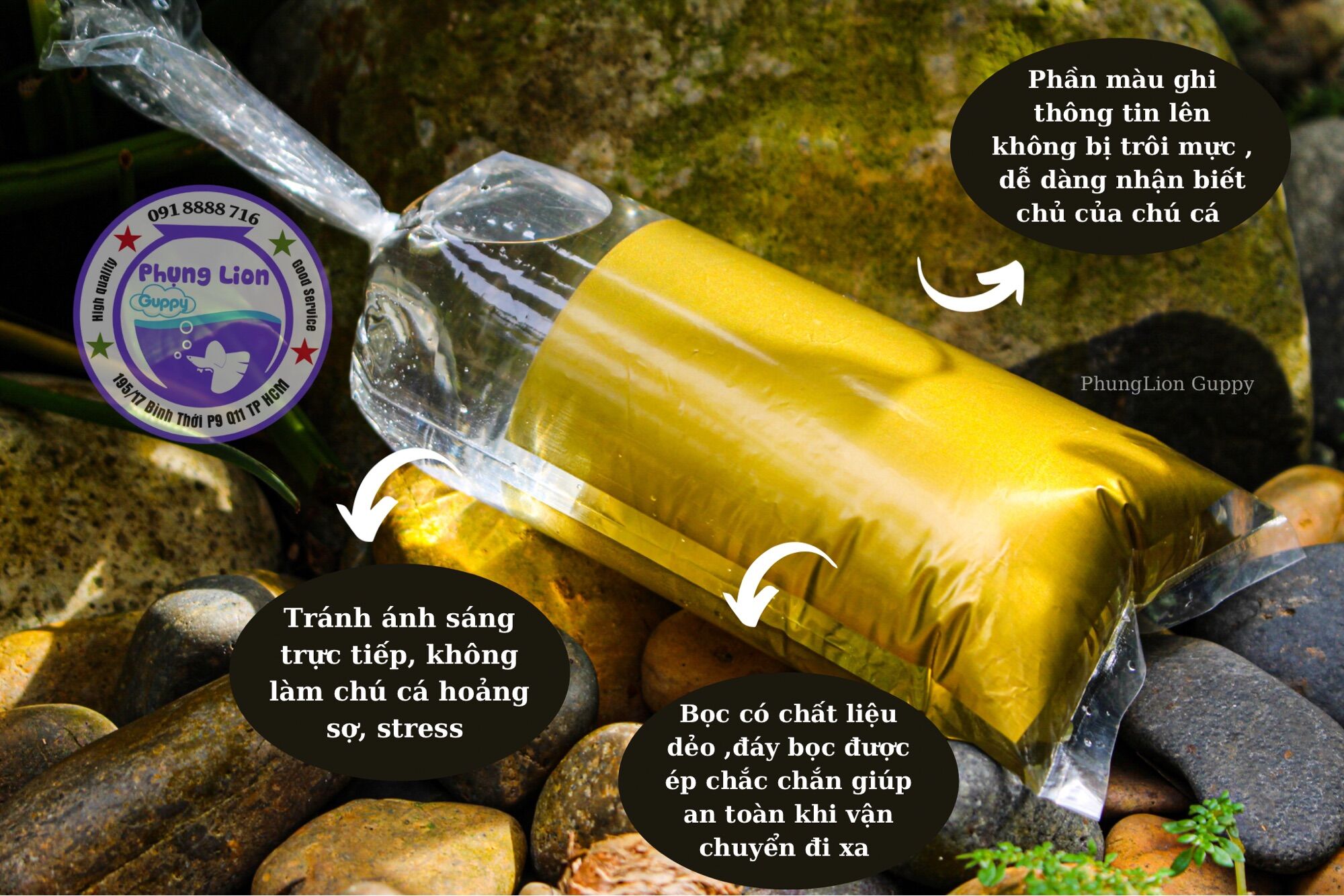 Túi Đóng Cá Chuyên Dụng Cho Betta , Guppy ( 9x31 )
