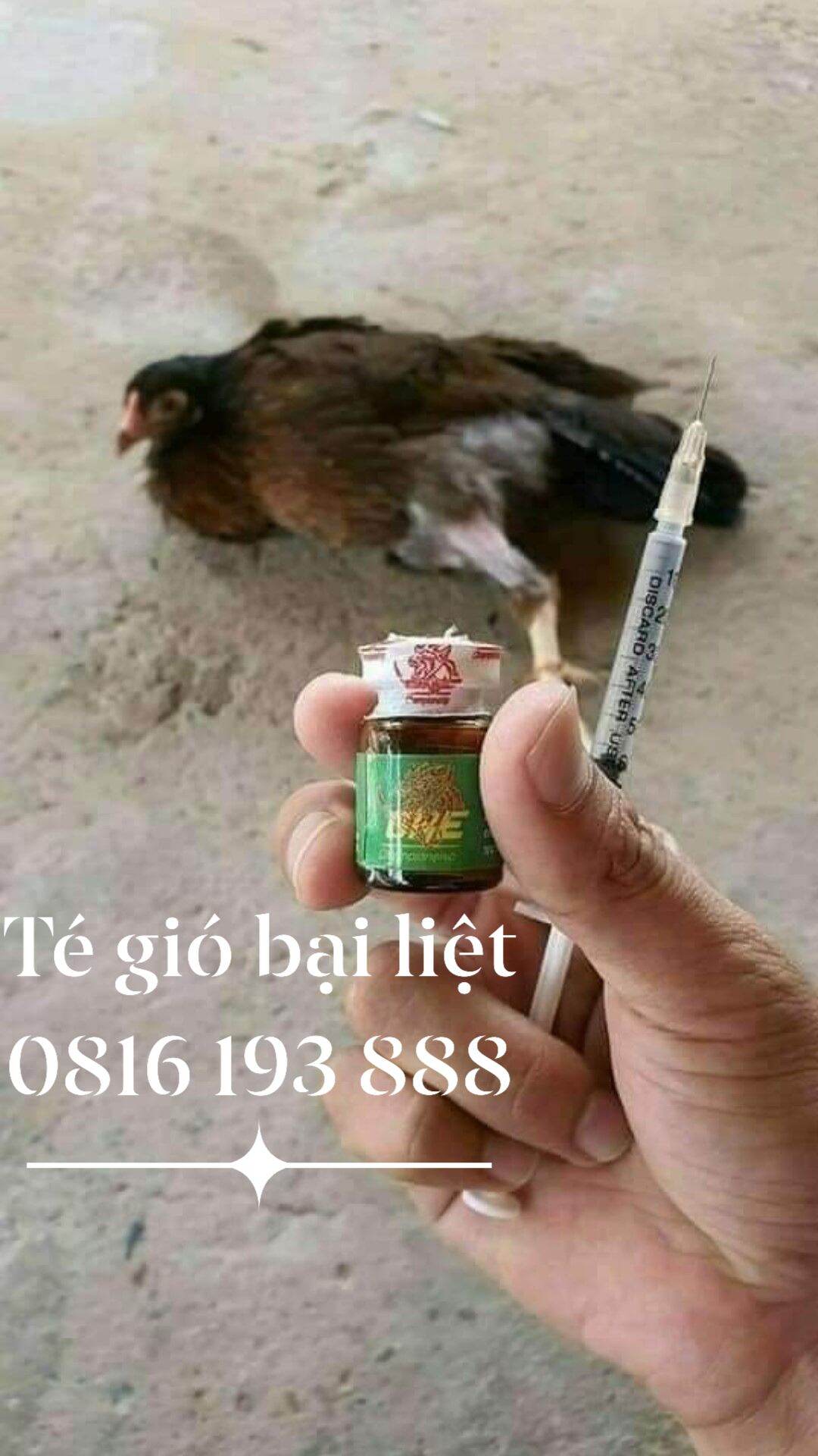 One t rị gà té gió bại liệt