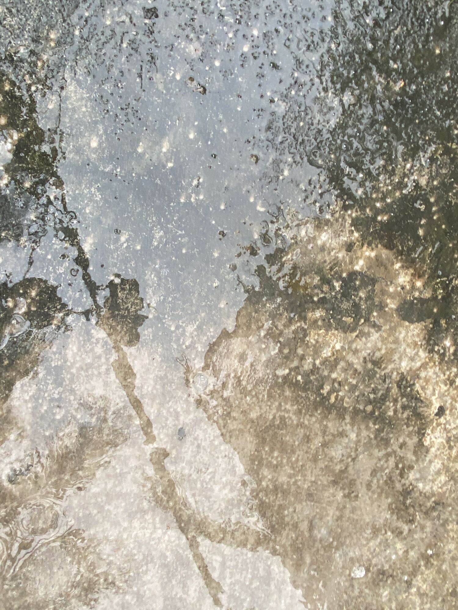 Bột tẩy rong rêu