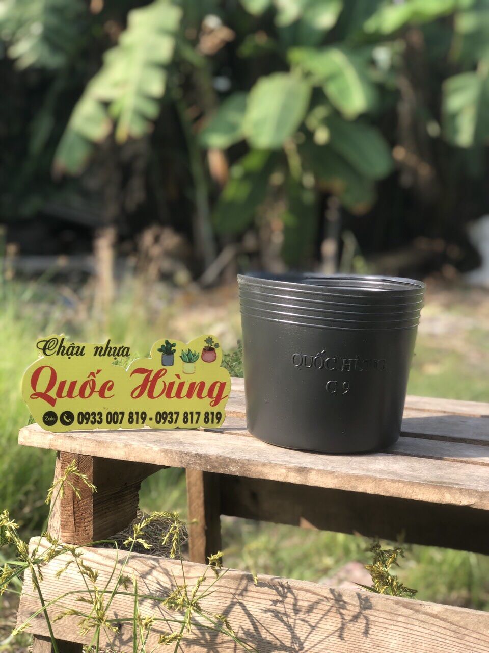 Combo 10 chậu C9 thương hiệu Quốc Hùng