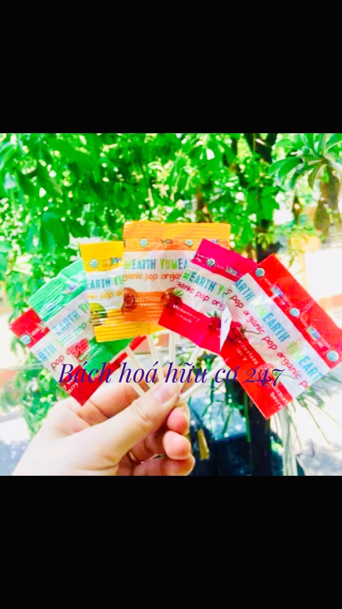 Kẹo mút hữu cơ YumEarth 8 vị trái cây