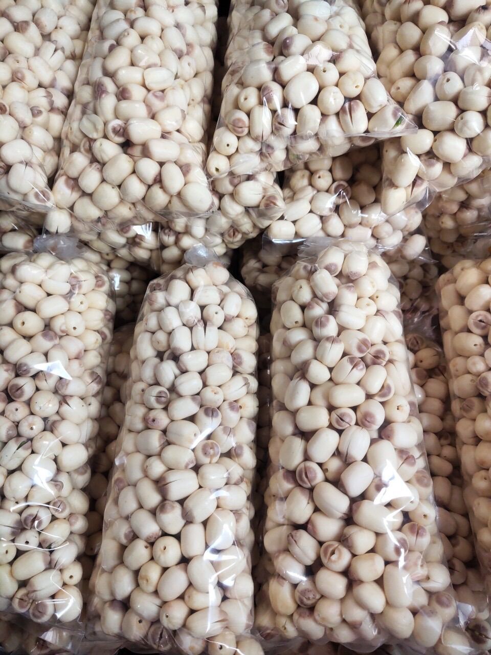 Hạt sen tươi Đồng Tháp