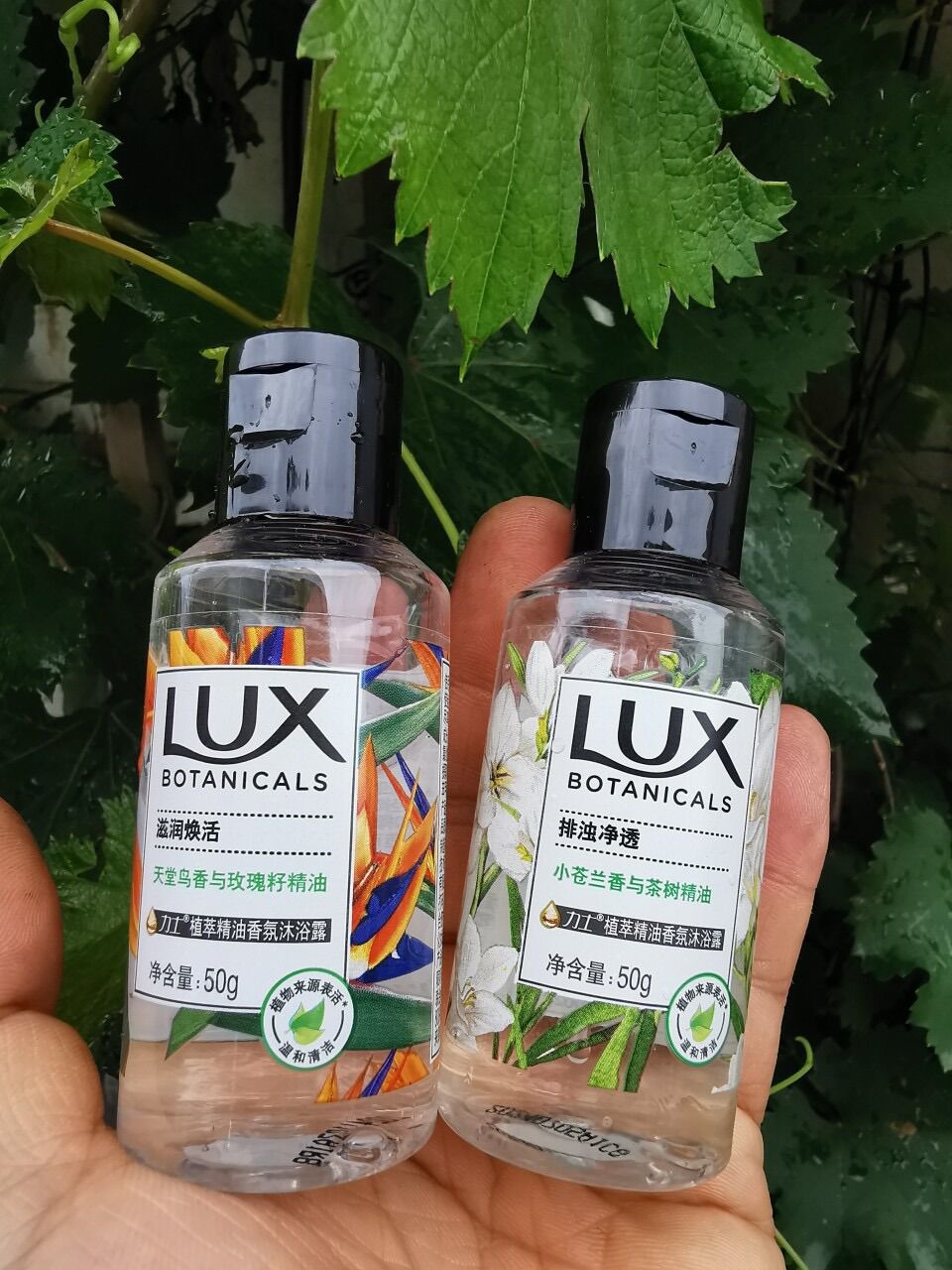 Sữa Tắm Lux Botanicals size du lịch Hương hoa nồng nàn Pháp 50ml