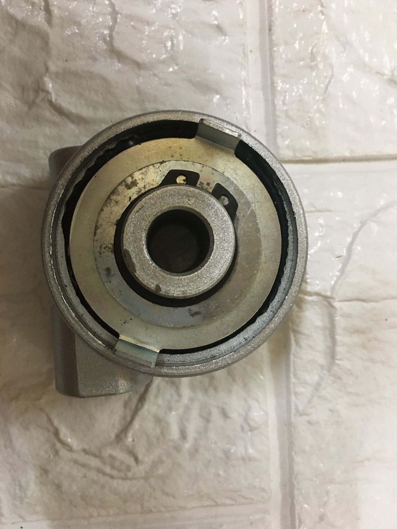 Củ sâu công tơ mét. Cóc ctm