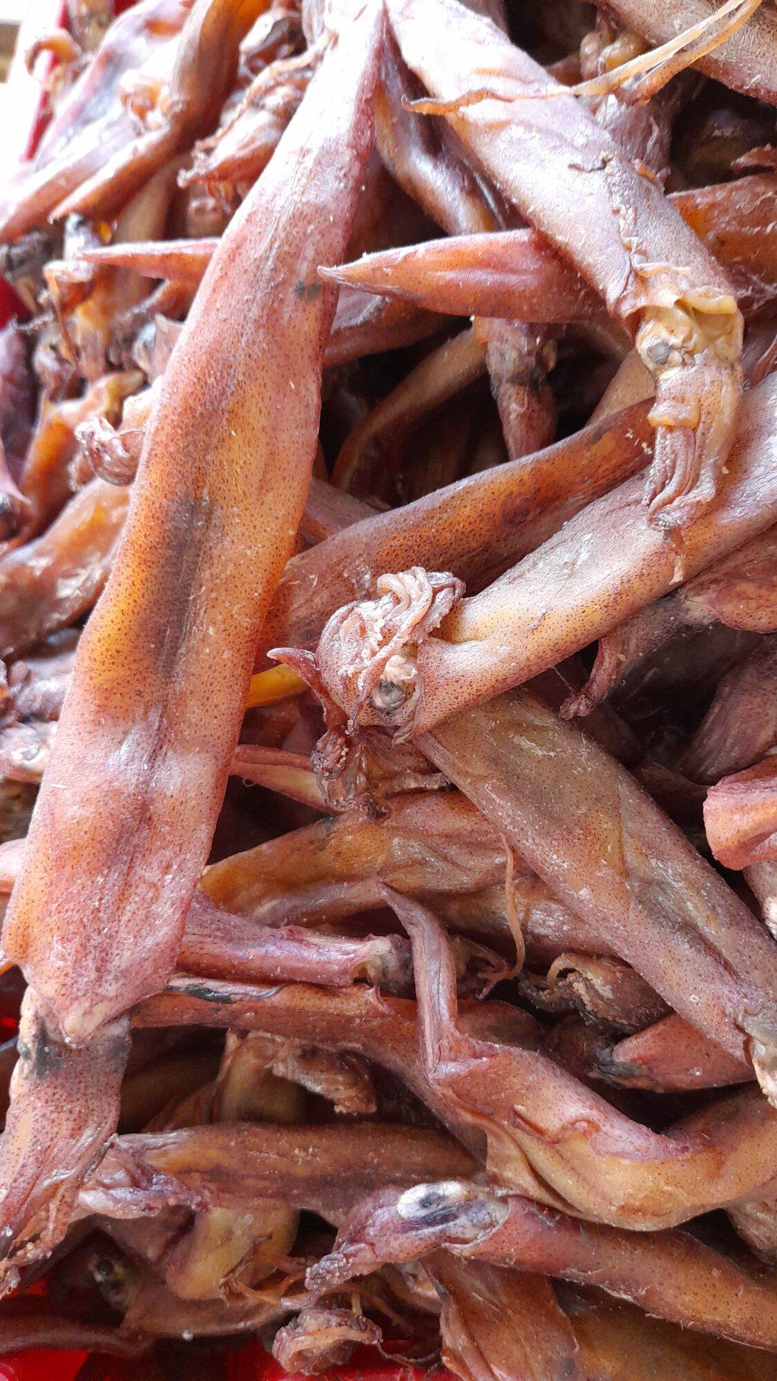 Mực đinh muối khô 500gr