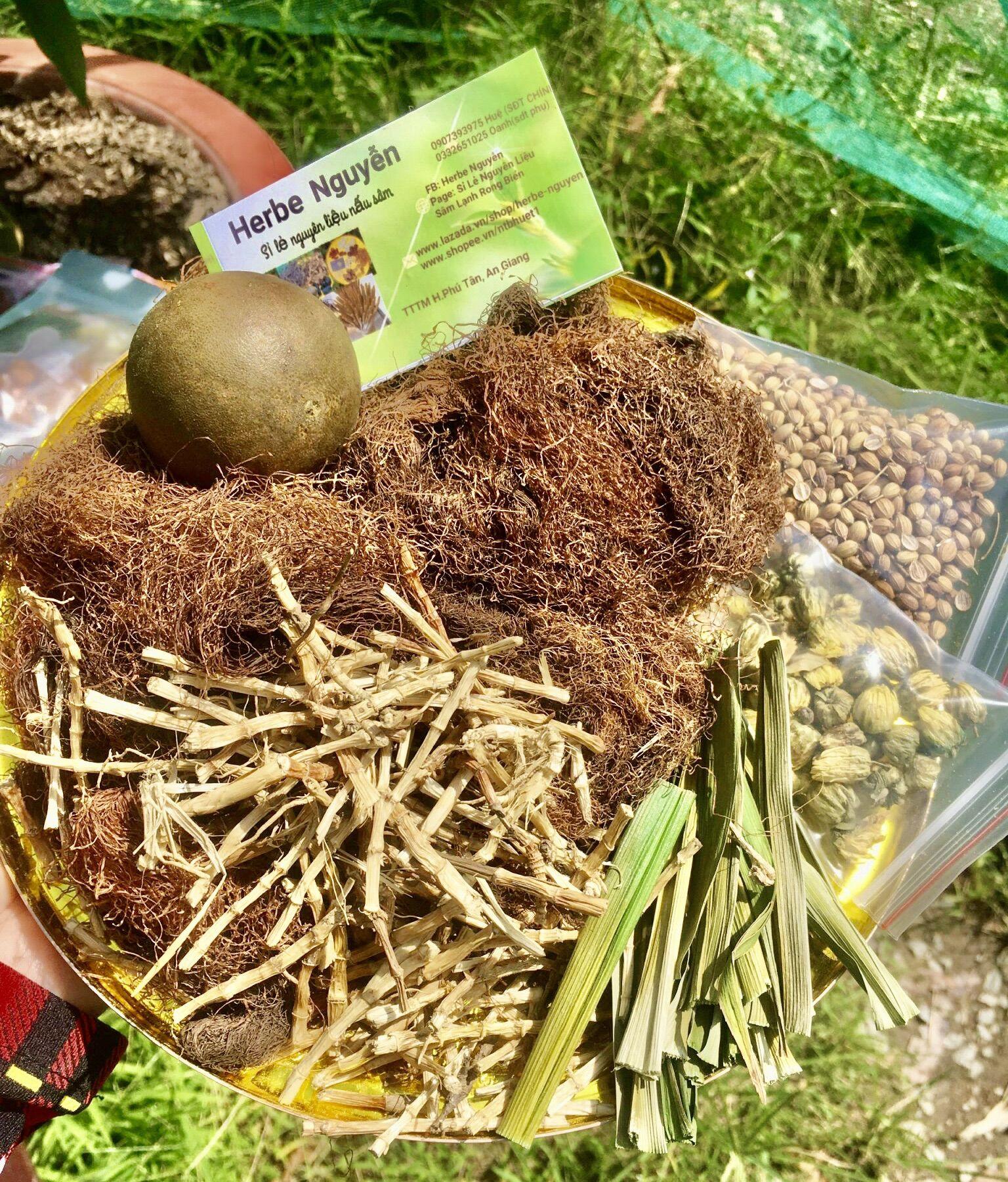 Sâm râu bắp rễ tranh nước mát cực thơm- phần nấu 10 lít nước