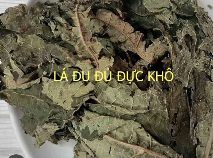 Lá đu đủ đực khô