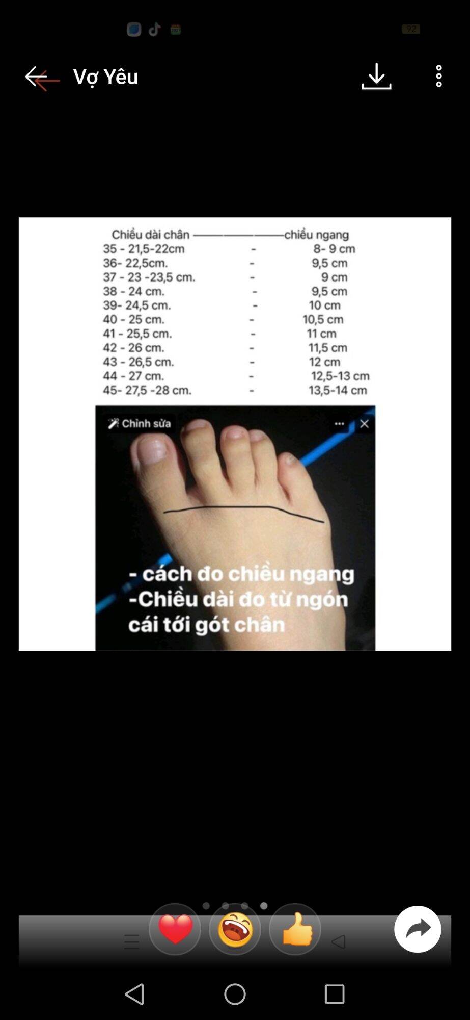 Giày dép nữ cánh nơ bigsize 35_45 gót 4cm (chụp hình thật)