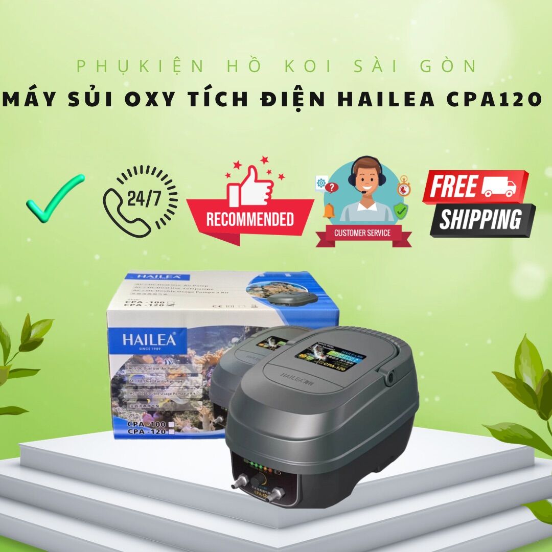 Máy oxy tích điện công suất lớn hailea cpa120