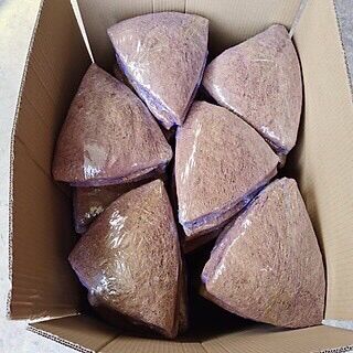 LÓT XƠ DỪA CHO CHẬU TREO