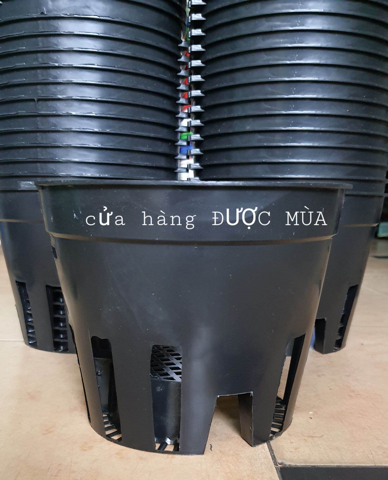 Combo 10 cái chậu nhựa trồng lan phi 21