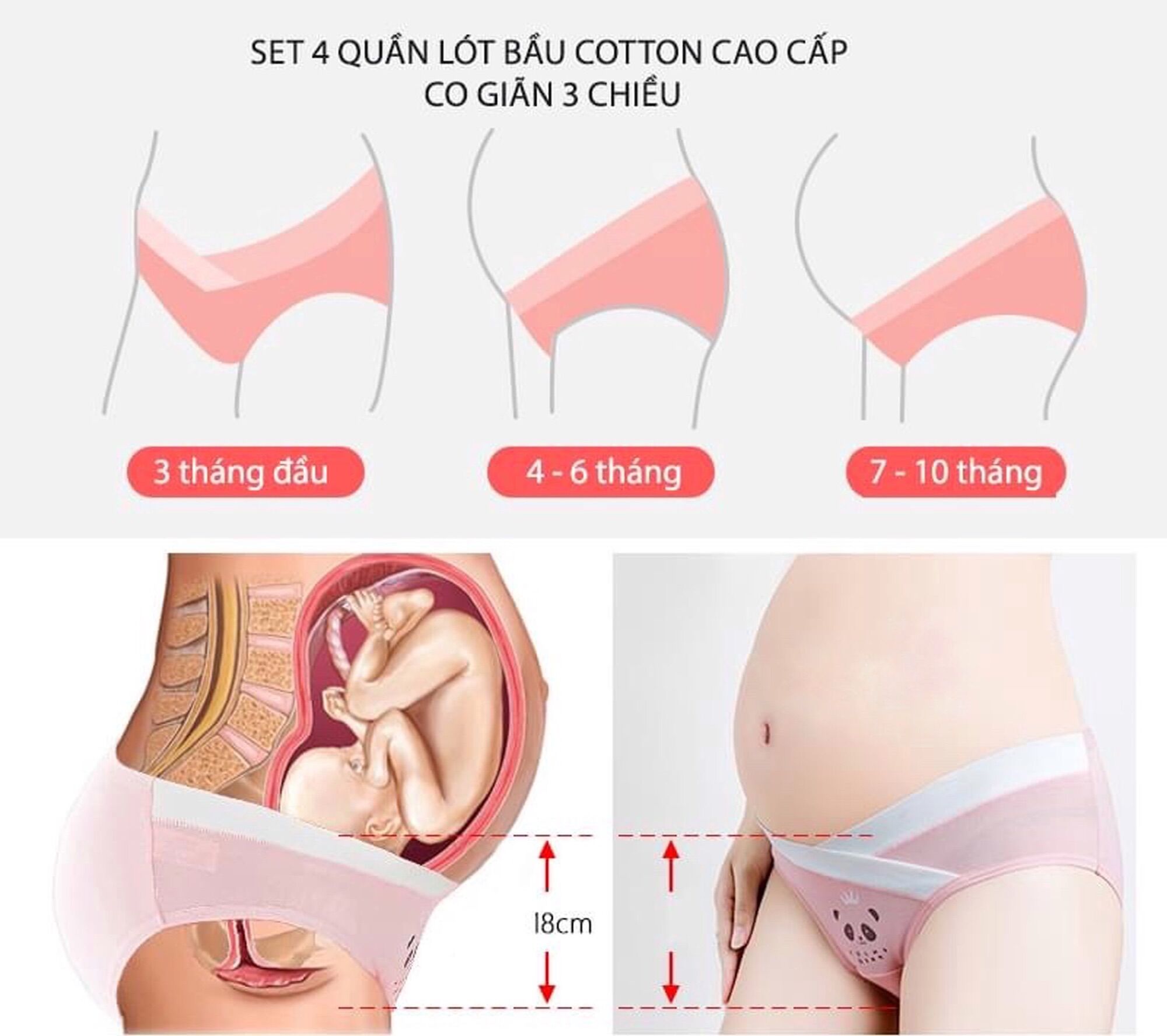 Set 4 quần chip bầu cạp chéo( Đủ size 40-83kg)