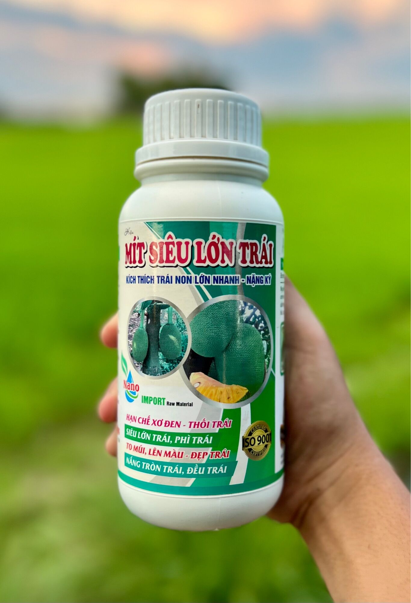 Mít siêu lớn trái - kích thích trái non lớn nhanh - nặng ký - hạn chế xơ đen - thối trái - siêu lớn trái - phì trái - to múi,lên màu - đẹp trái - nắng tròn trái, đều trái