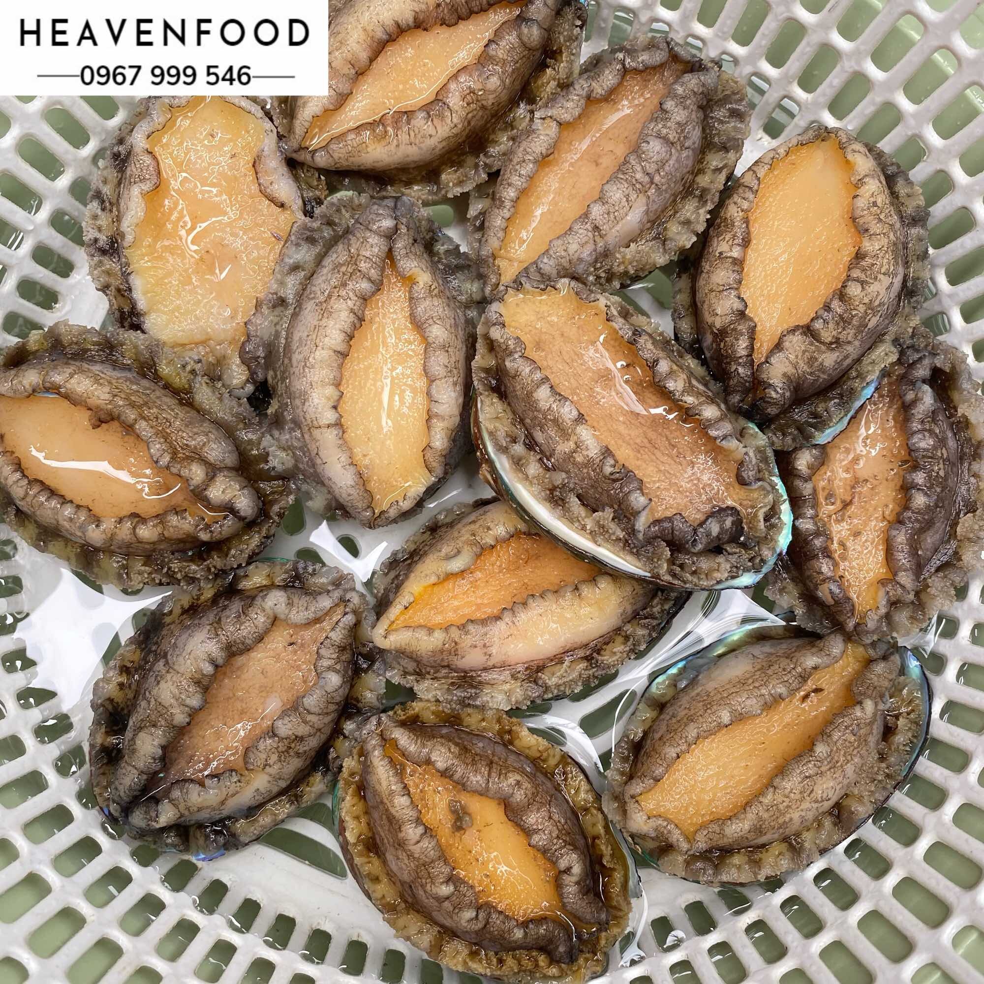 Bào ngư Hàn Quốc size 12con/kg. Hàng chuẩn giá tốt