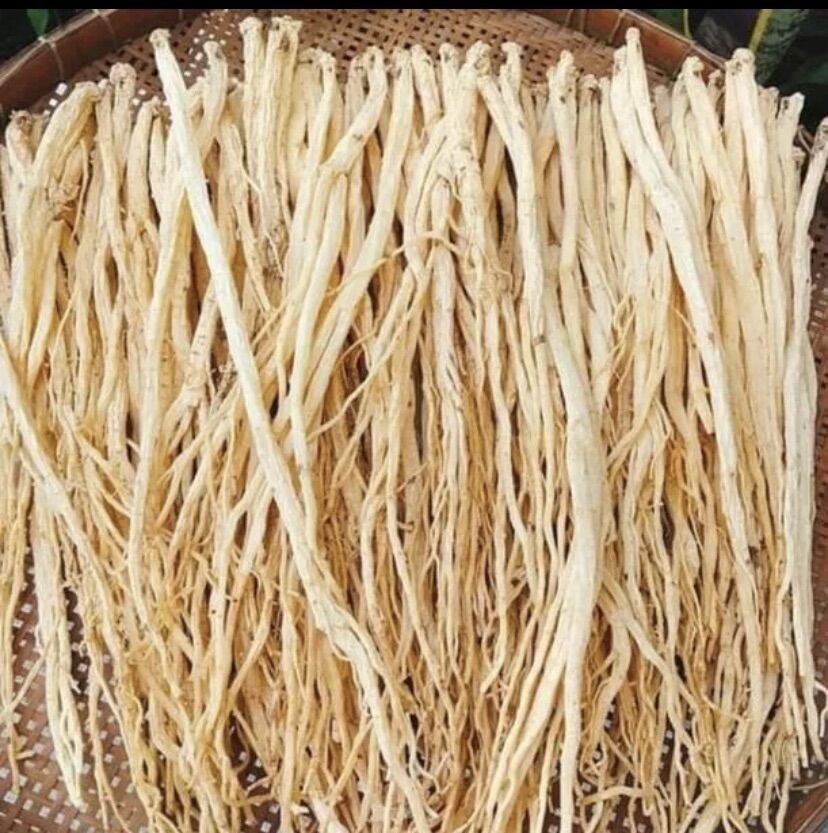 Đặng sâm 500g