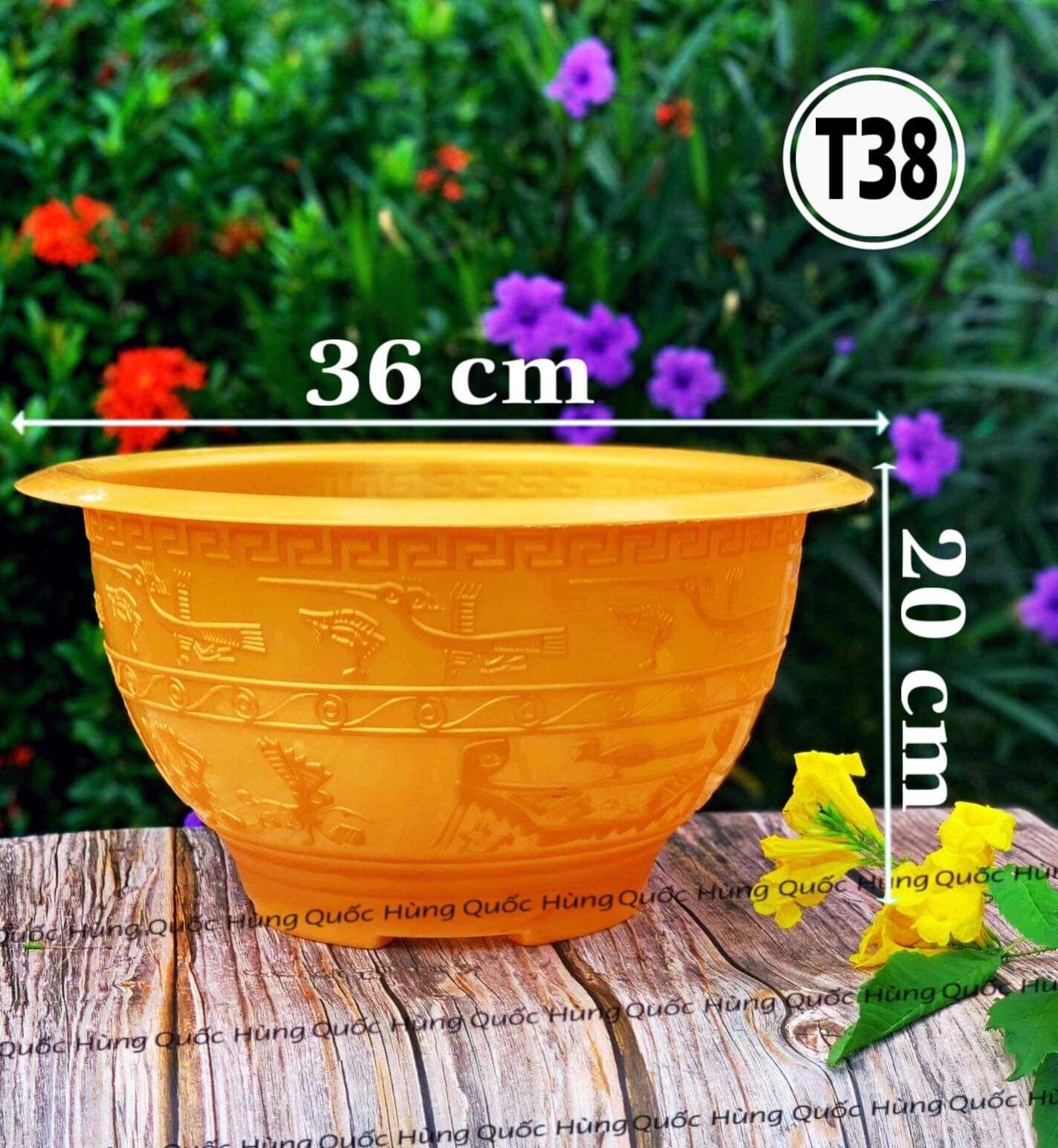 Chậu nhựa trồng cây T38 Vàng