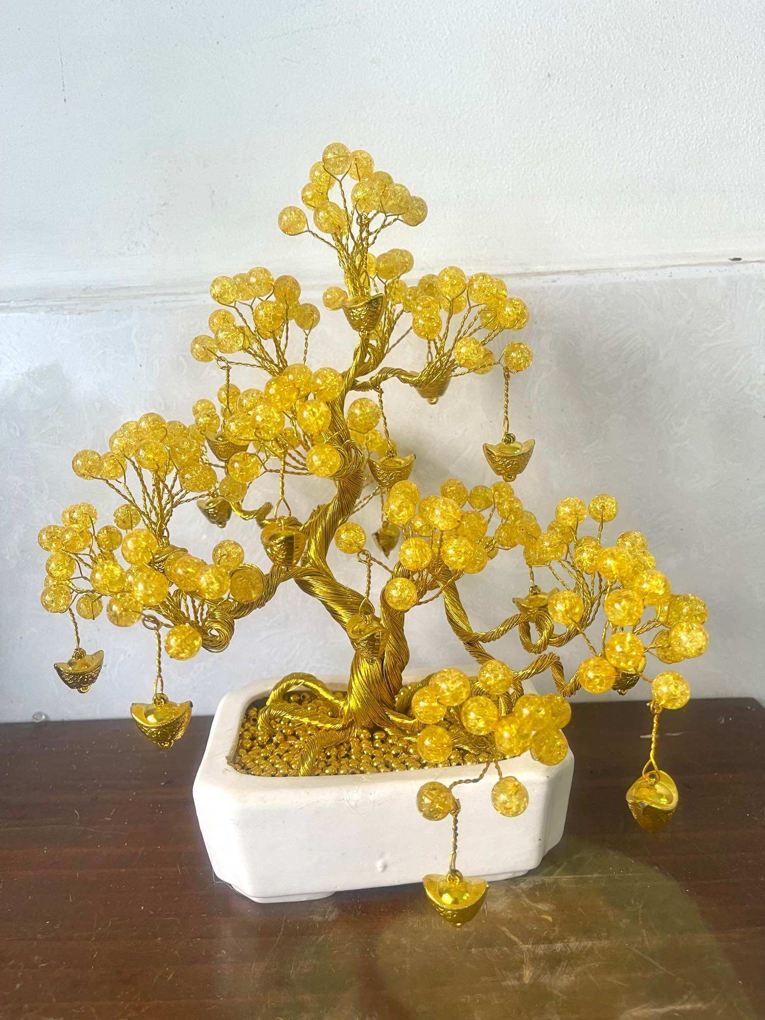 Cây kiểng bằng hột đá cao 30cm