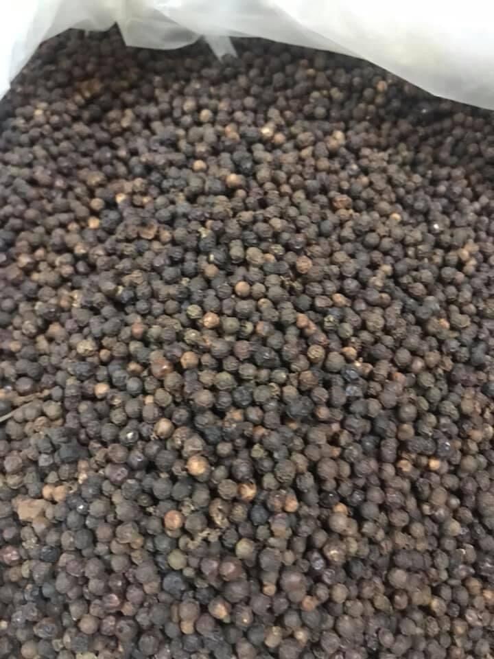 500gr tiêu đen Gialai