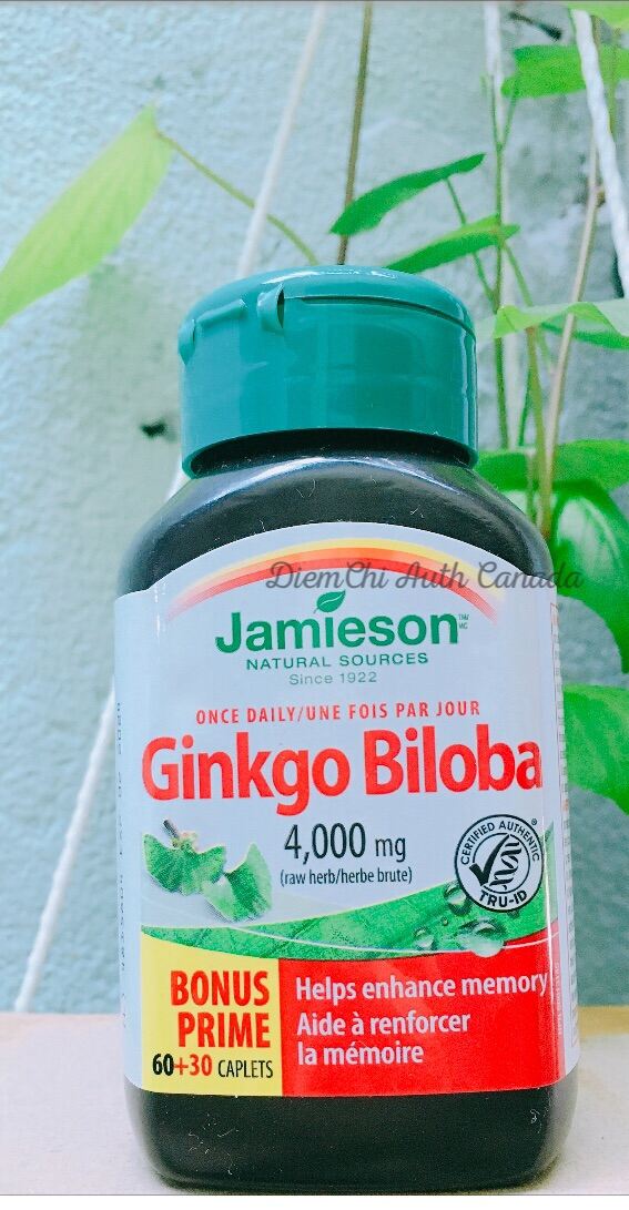 [Nội địa Canada] Jamieson Ginkgo Biloba 4000mg Viên Bổ Não, Tăng Cường Lưu Thông Máu Não (Hộp 90 viê