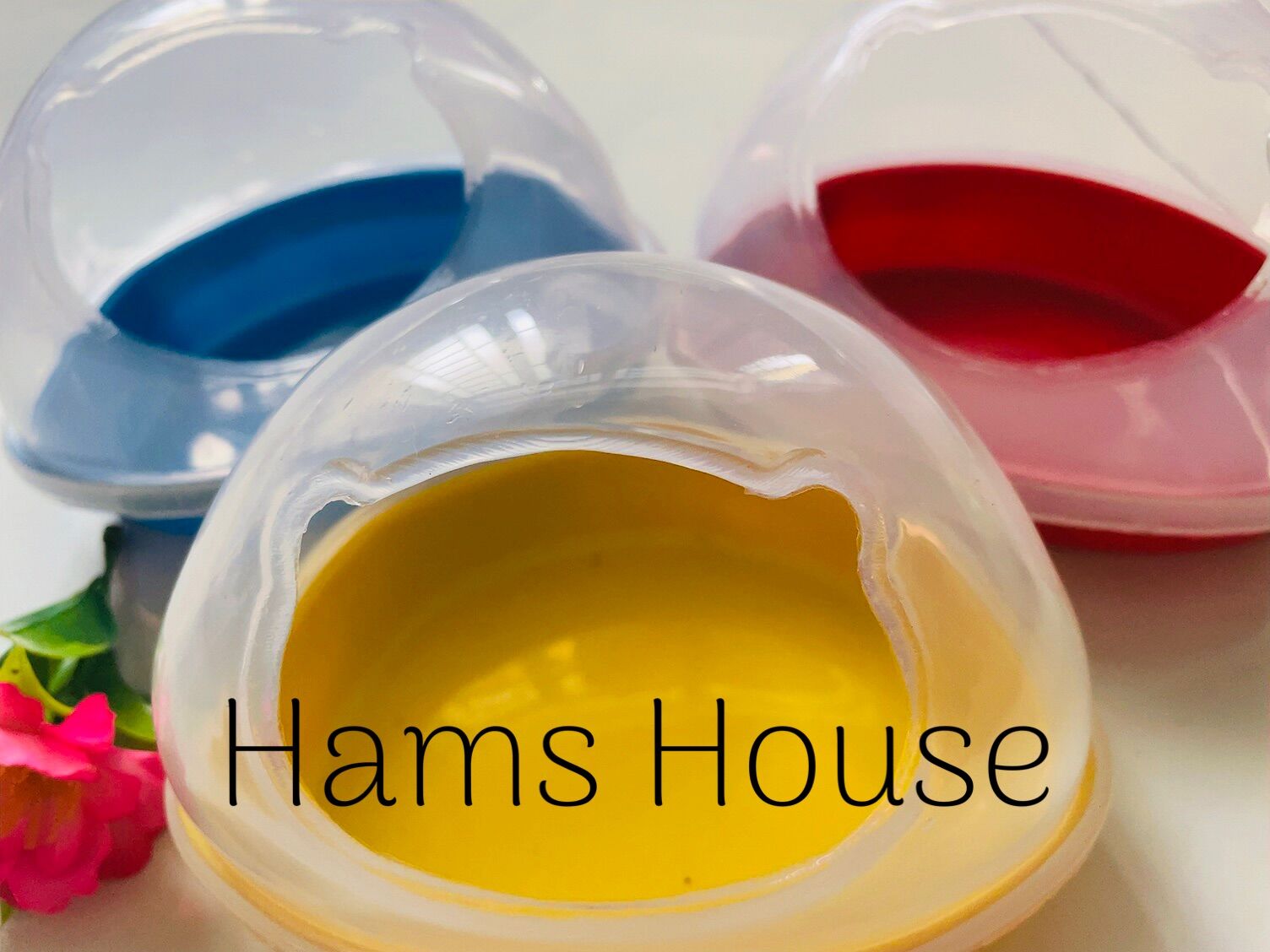 Nhà tắm lớn cho hamster