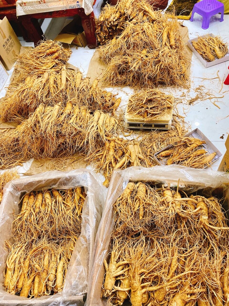 [HCM] 1 Củ Sâm tươi Hàn Quốc loại 5 củ 1kg