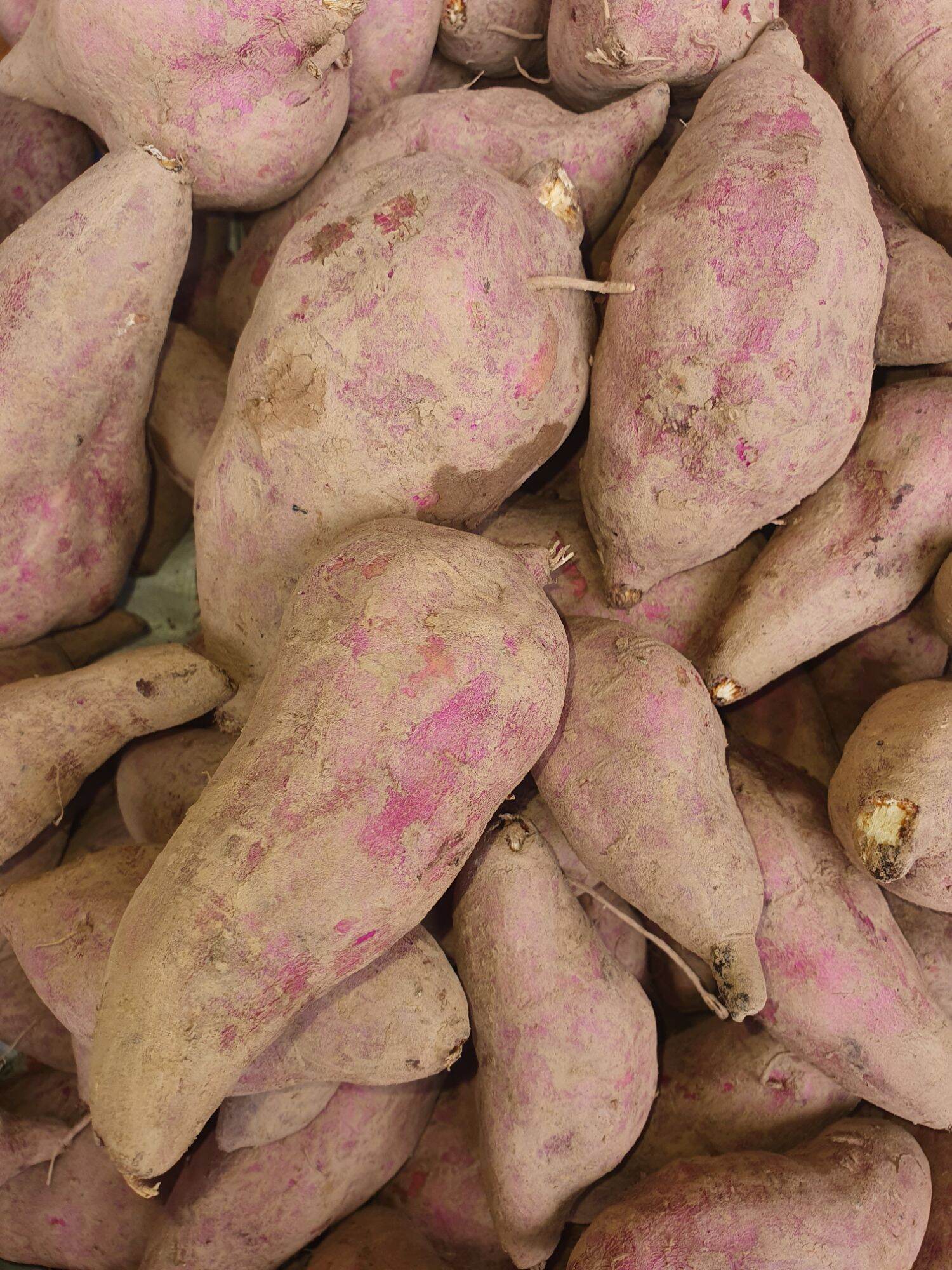 Khoai Lang Dương Ngọc - 3kg