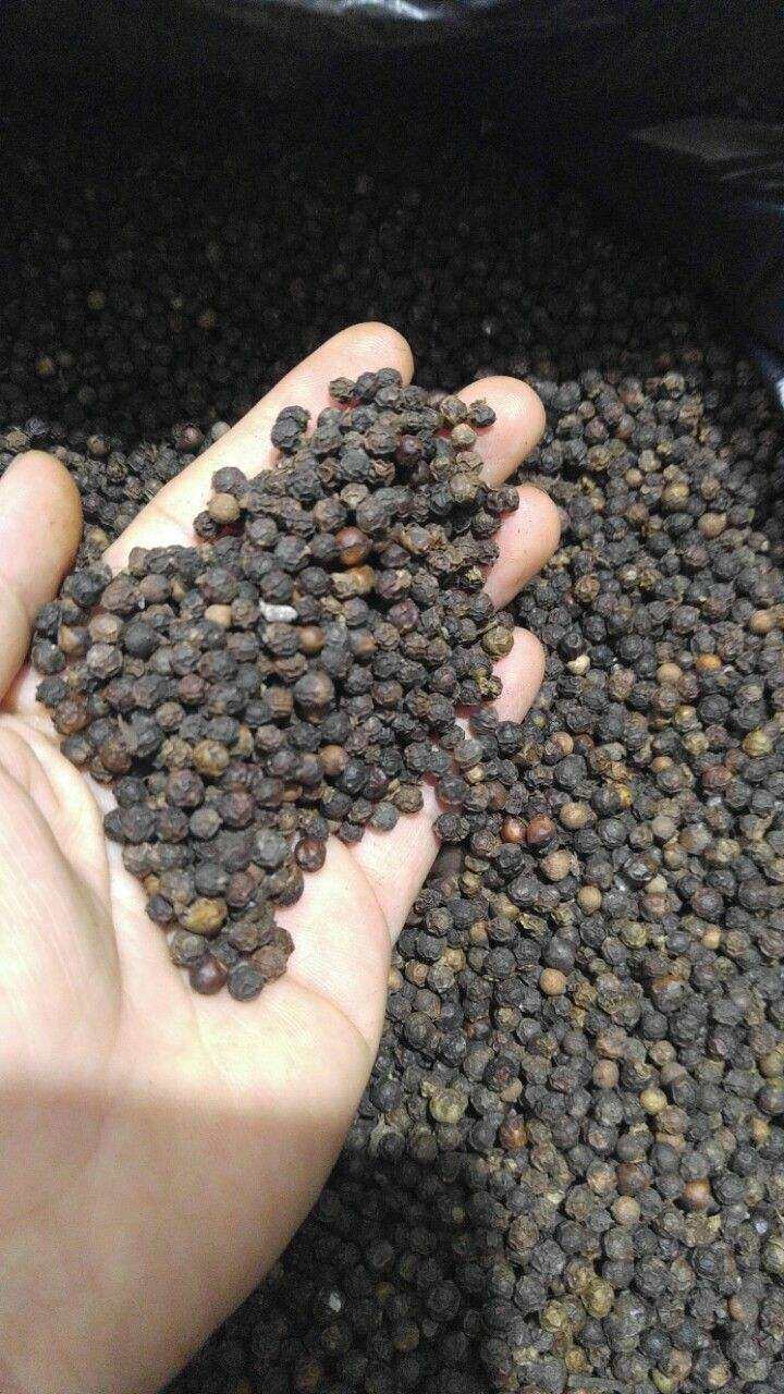 500gr TIÊU HẠT DAKLAK vườn nhà