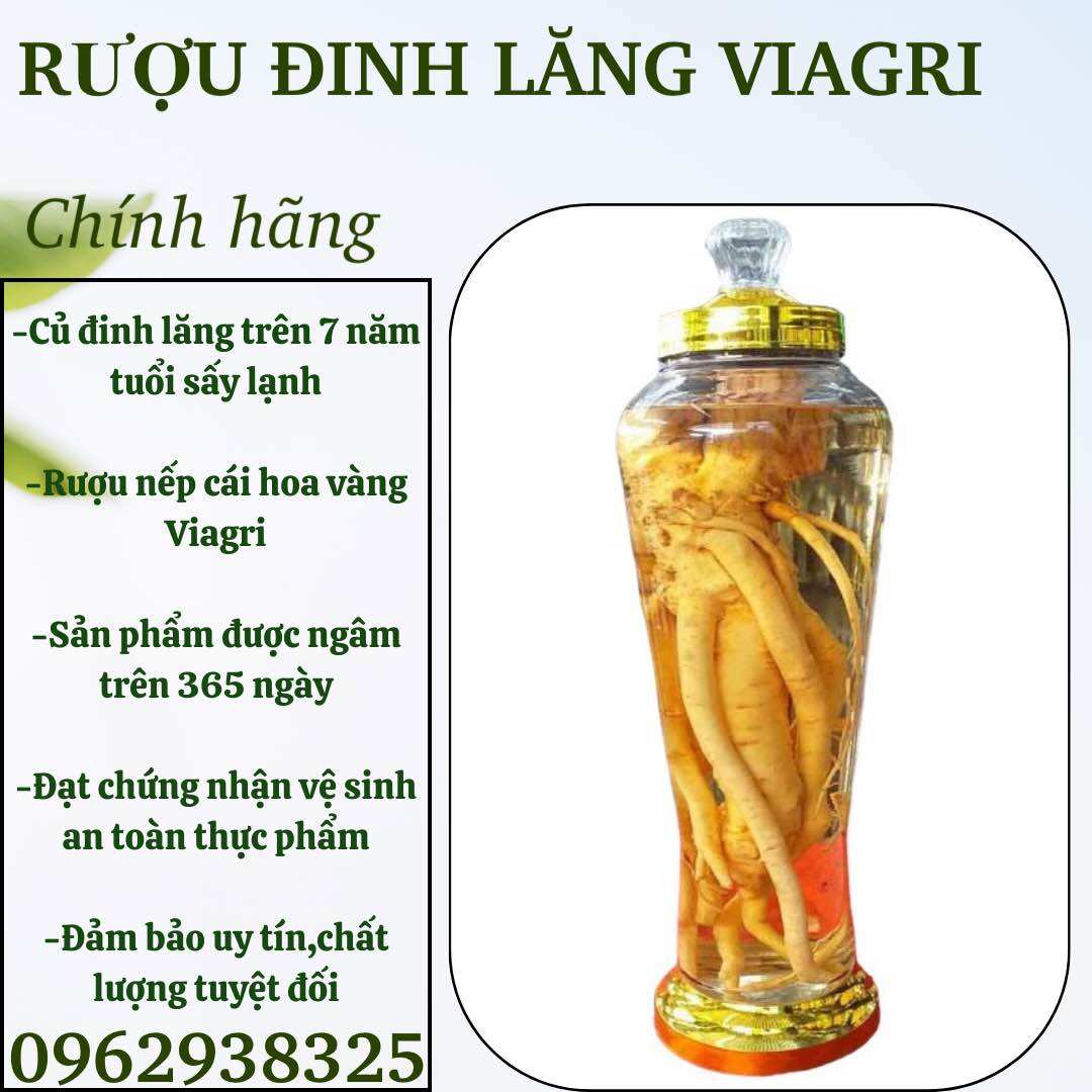 Rượu đinh lăng Viagri ngâm chuẩn vị đảm bảo chất lượng