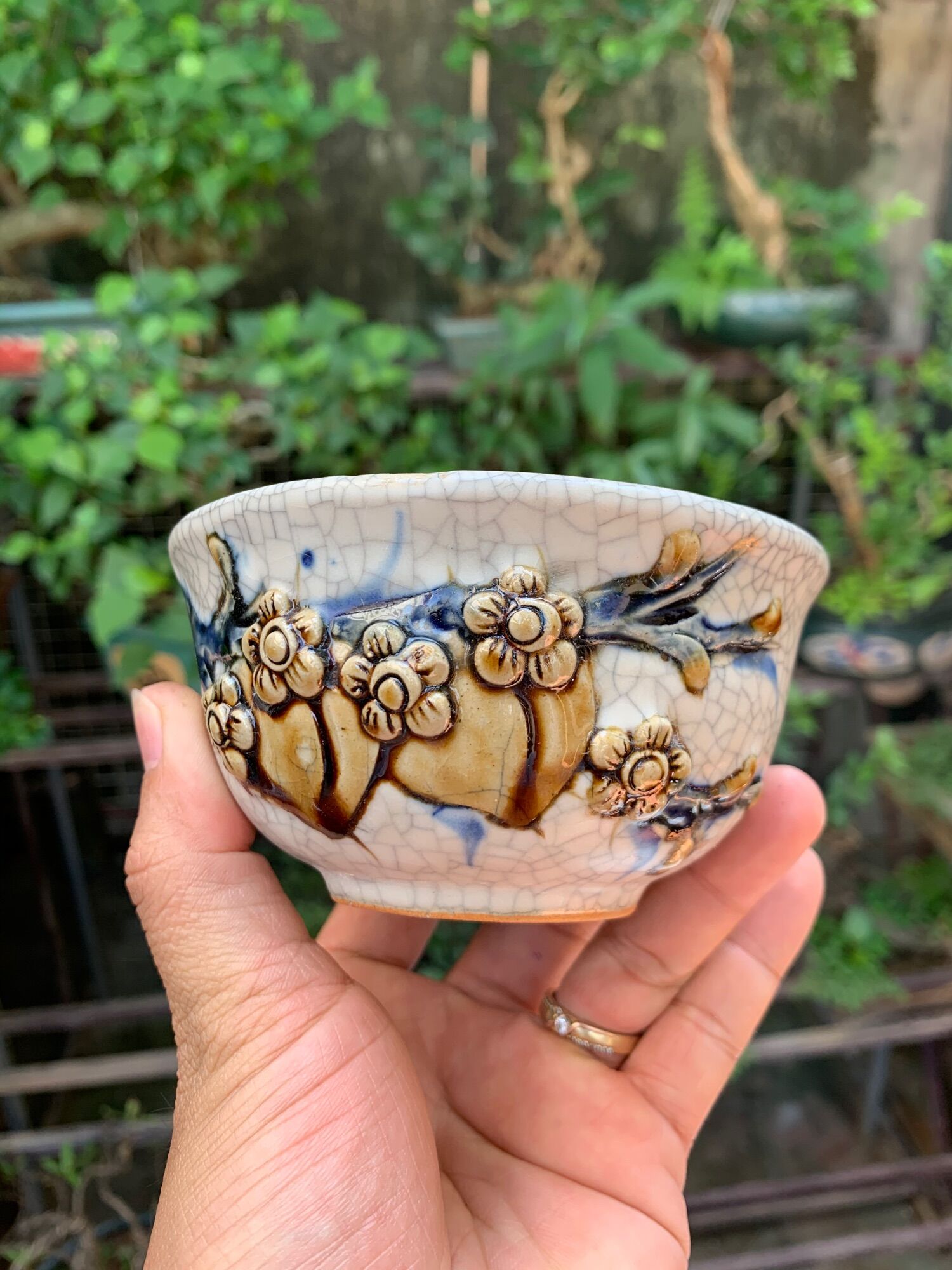 Chậu trồng cây bonsai mini