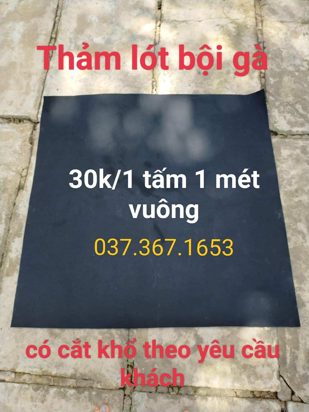 Thảm lót bội gà 1m vuông chống thấm nước