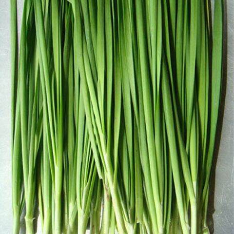 Hạt Giống Hẹ Lá Cao sản chất lượng cao(gói 1gram)