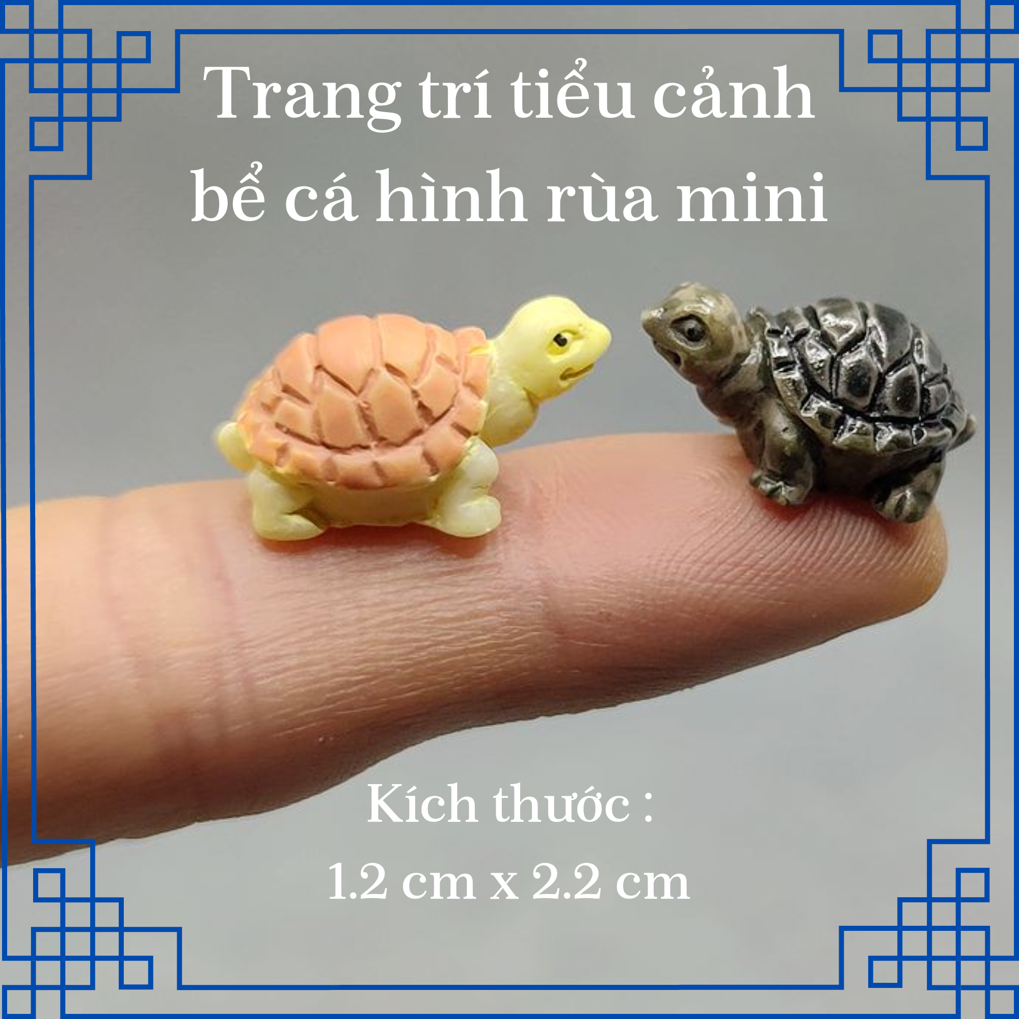 Trang trí bể cá , tiểu cảnh