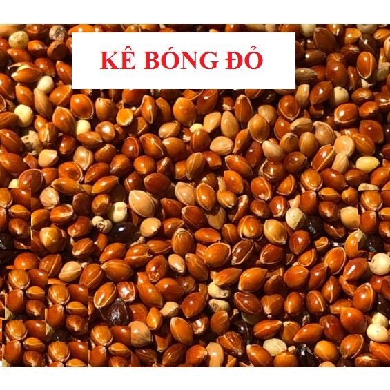 Hạt kê bóng đỏ to dành cho chim ăn 1kg