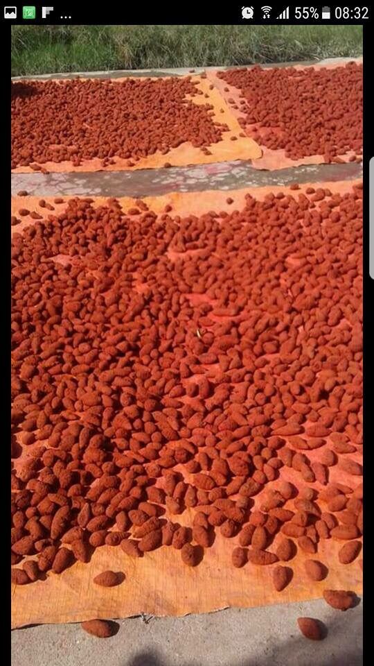 Nghệ đỏ củ 500g