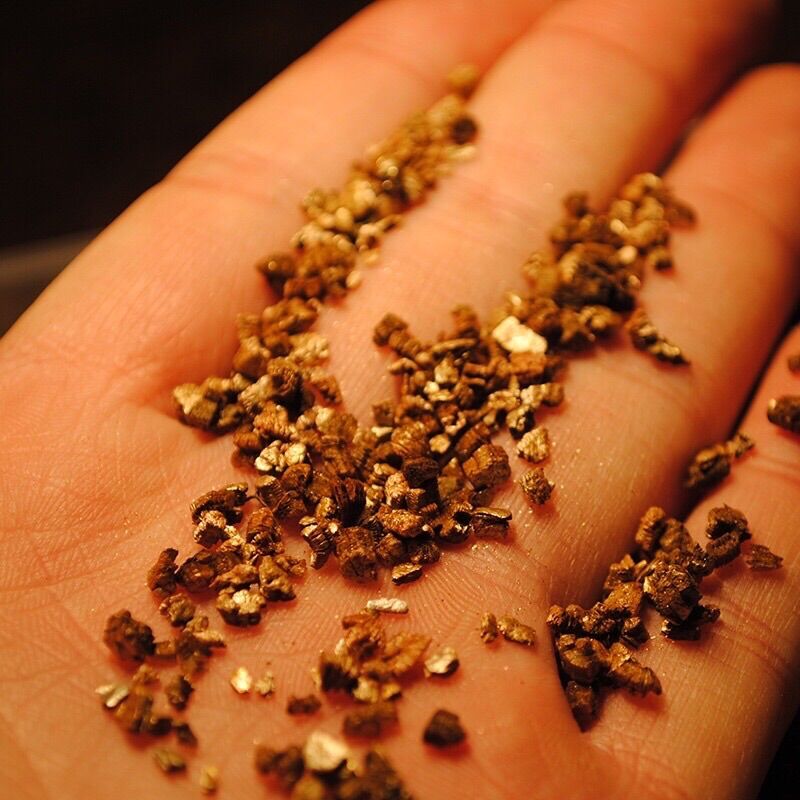 Đất ấp trứng cho bò sát [Hoả Tốc Giao Hàng 2 Giờ ]