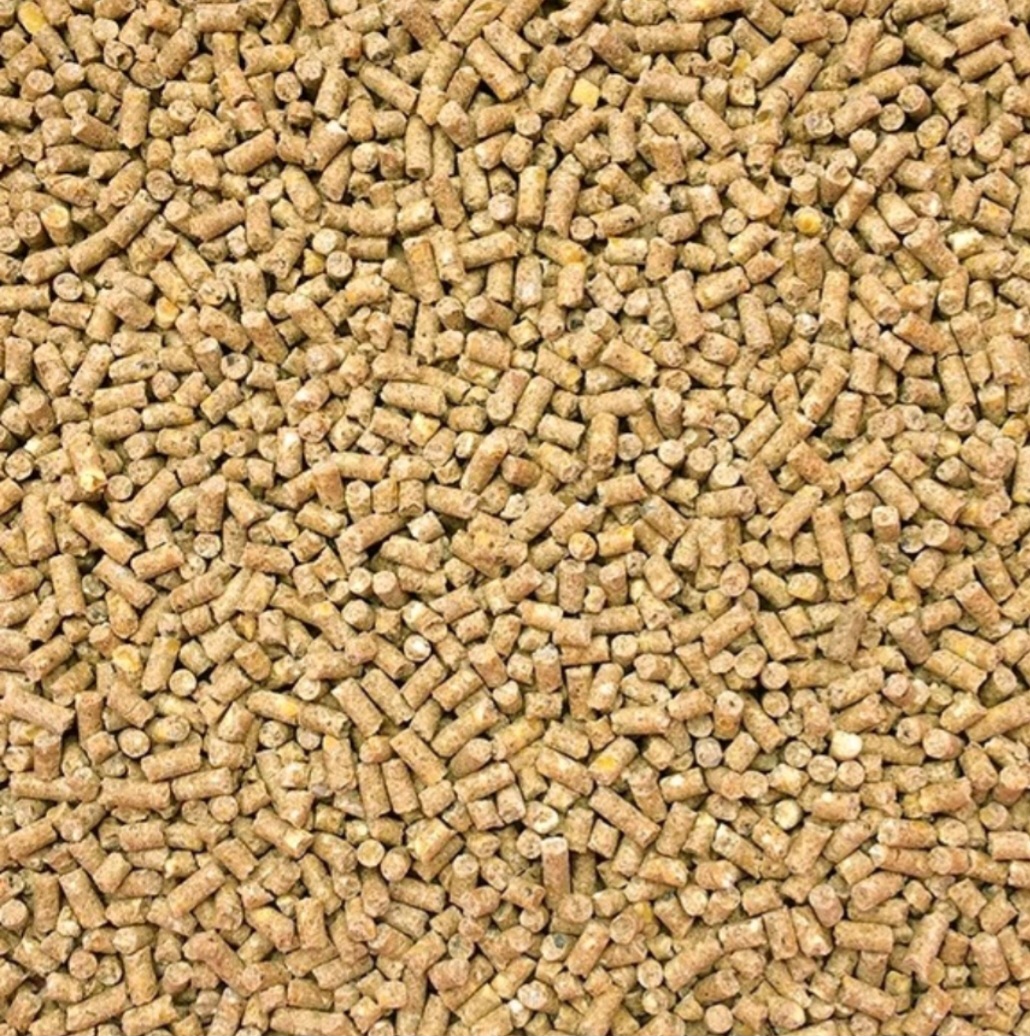 1 Kg Cám viên , thức ăn tổng hợp cho gà, thức ăn cho chim