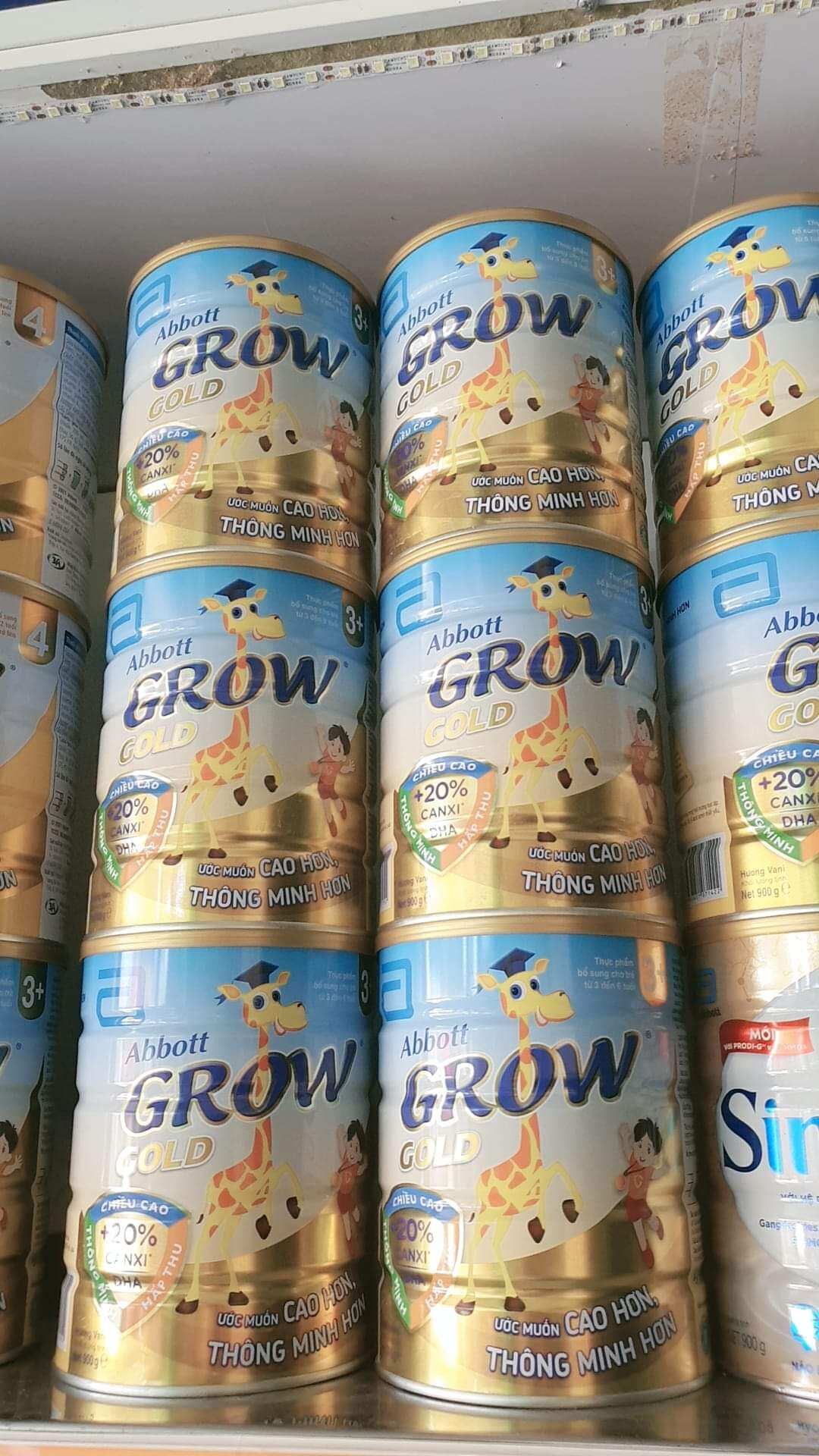 SỮA GROW 6+ Lon 900G [ Chính Hãng ] Abbott