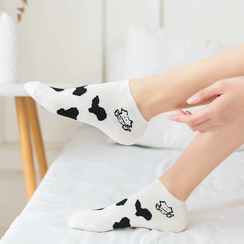 Sét 5 đôi tất bò sữa trắng xịn sò trẻ trung